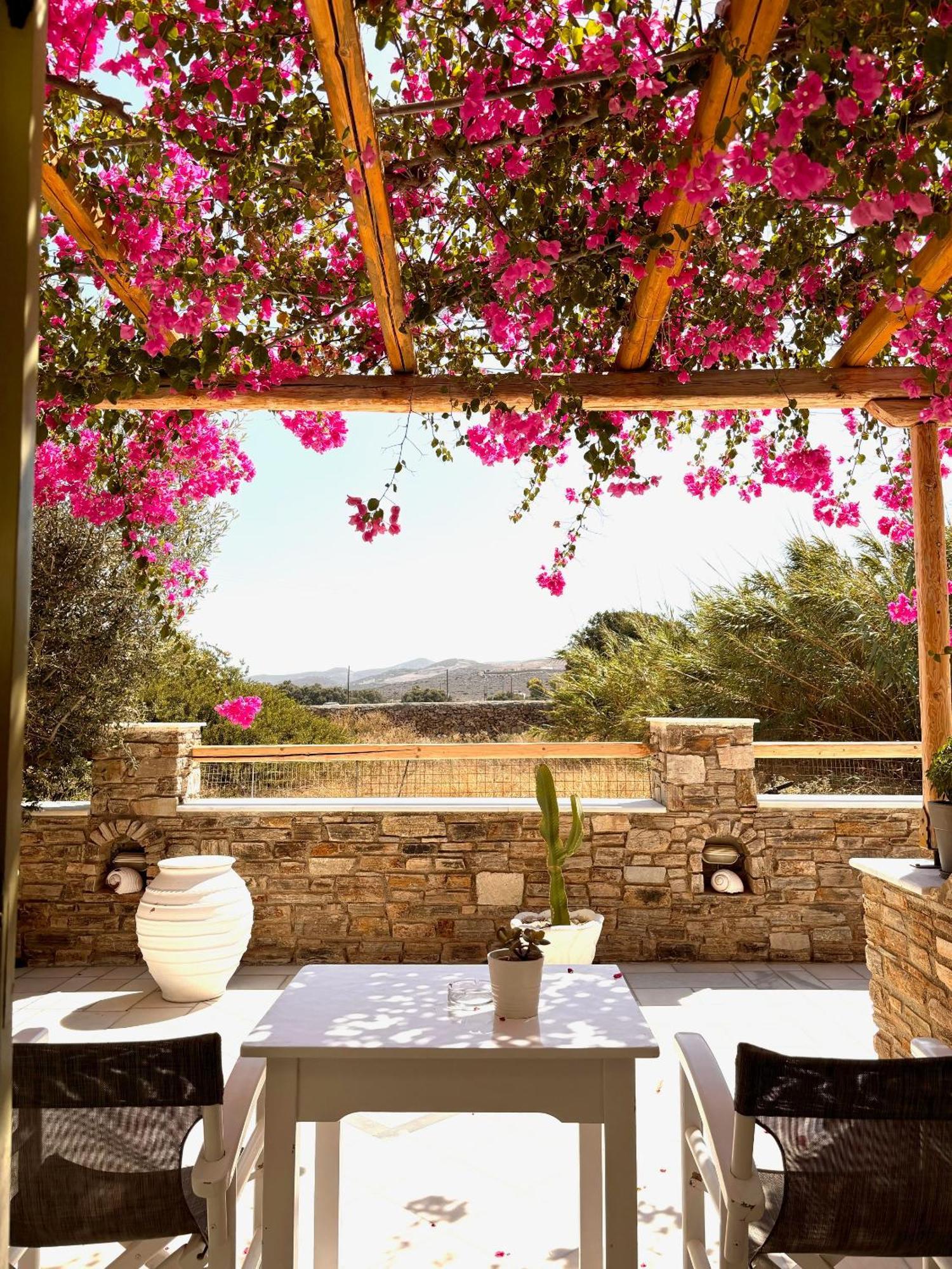 Aegeo Inn Antiparos Town Exterior foto